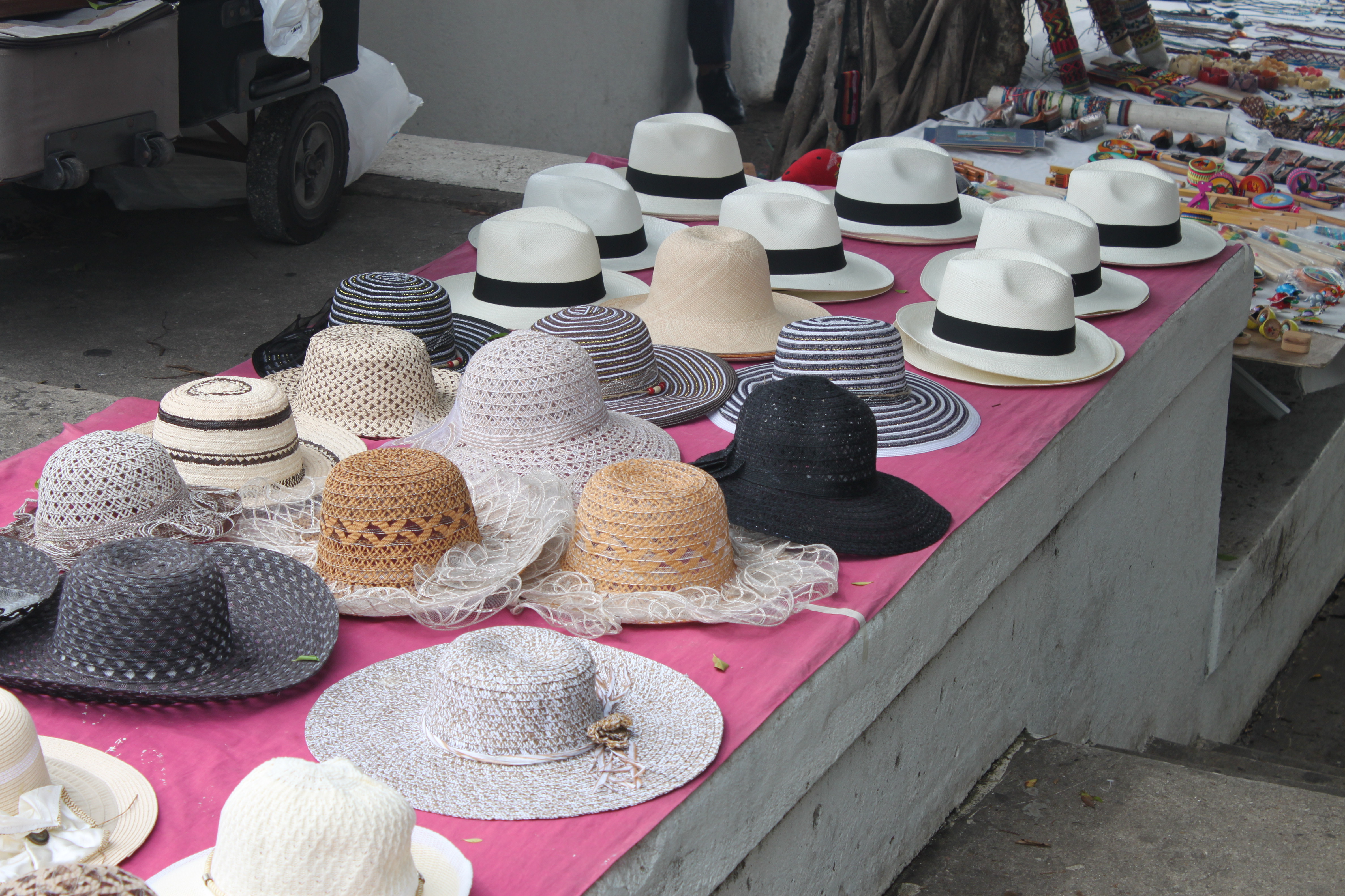 Panama Şapkasının Sırrı