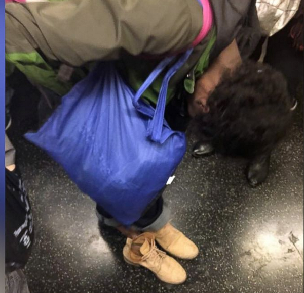 metroda yalinayak evsiz