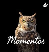 Momentos Podcast ile Tanışın!